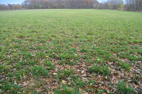 Property photo 45 - 80 Acres & Home - Property Offered in 4 Tracts from 2.3 to 30.0 Acres